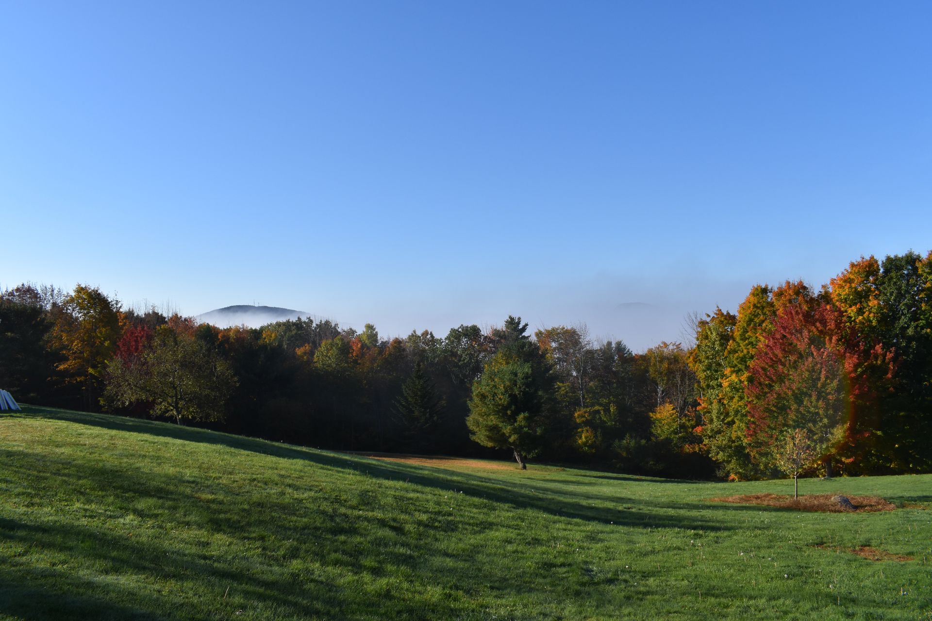 A large grassy field with trees in the background on a sunny day.