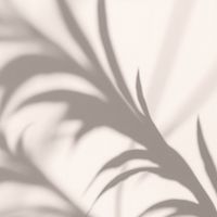 About Prisse Med Aesthetics team London Westminster
