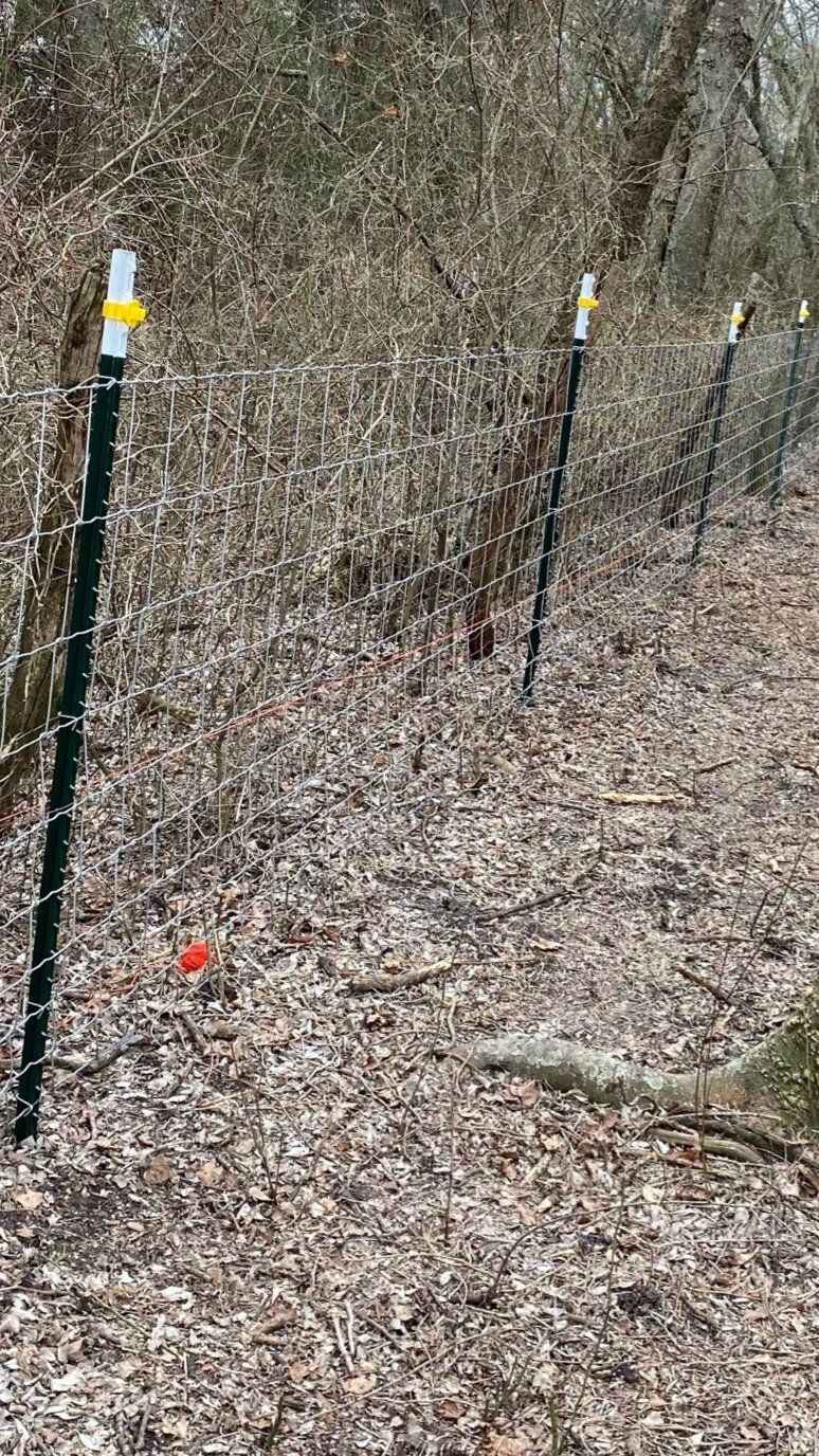 A fence is surrounding a trail in the woods.