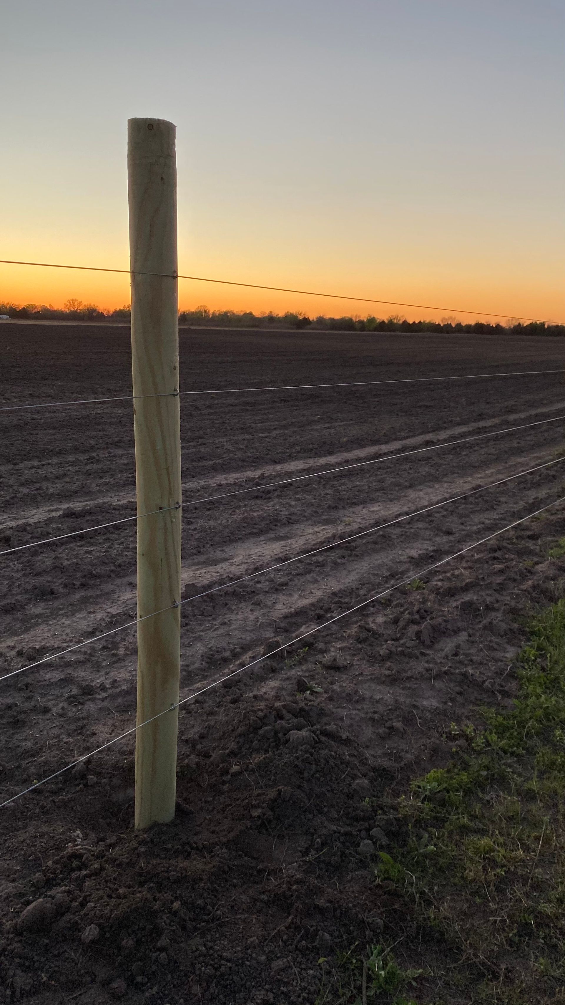 A wooden post in the middle of a dirt field with a barbed wire fence in the background.