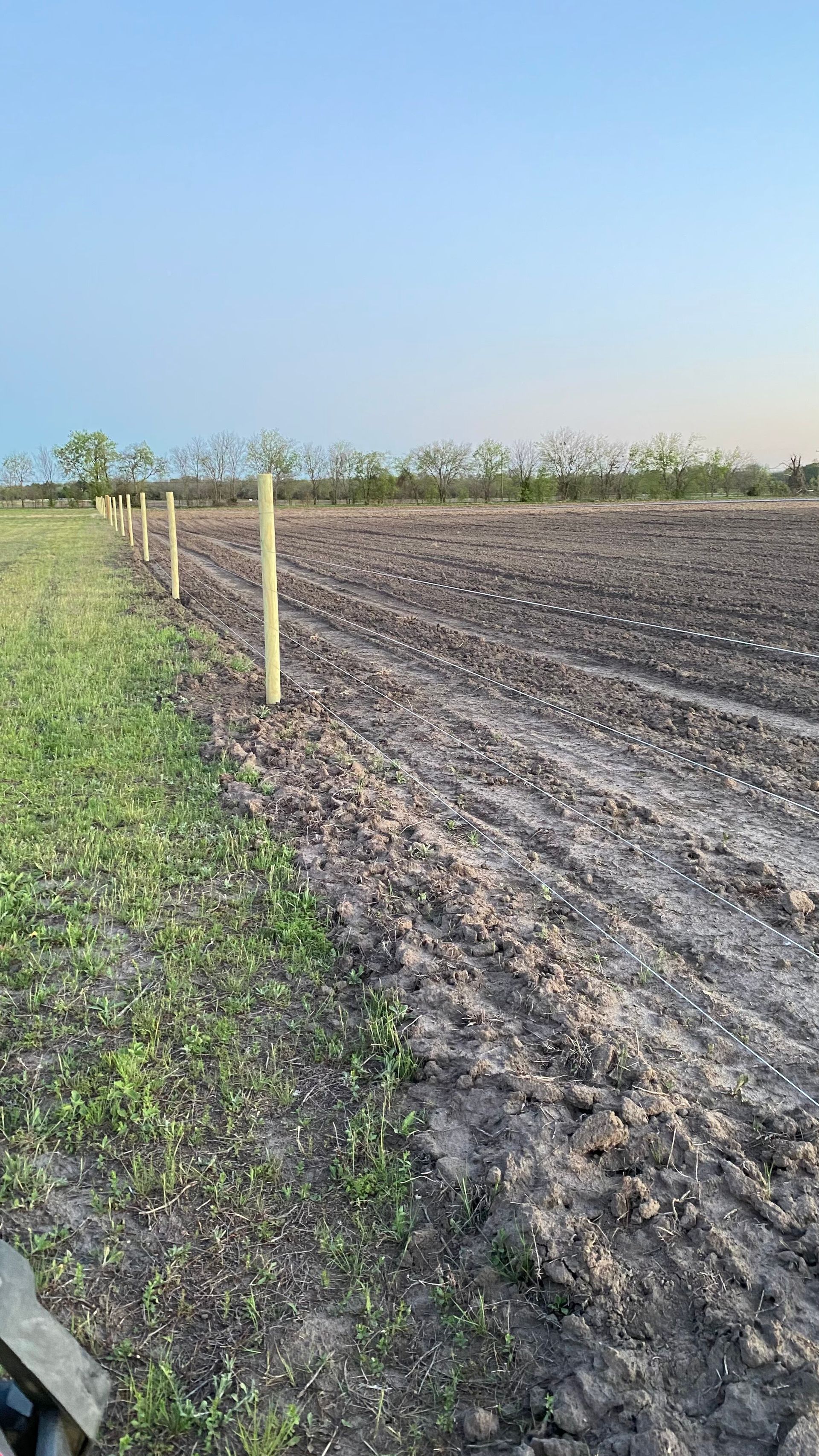 A muddy field with a fence in the middle of it.