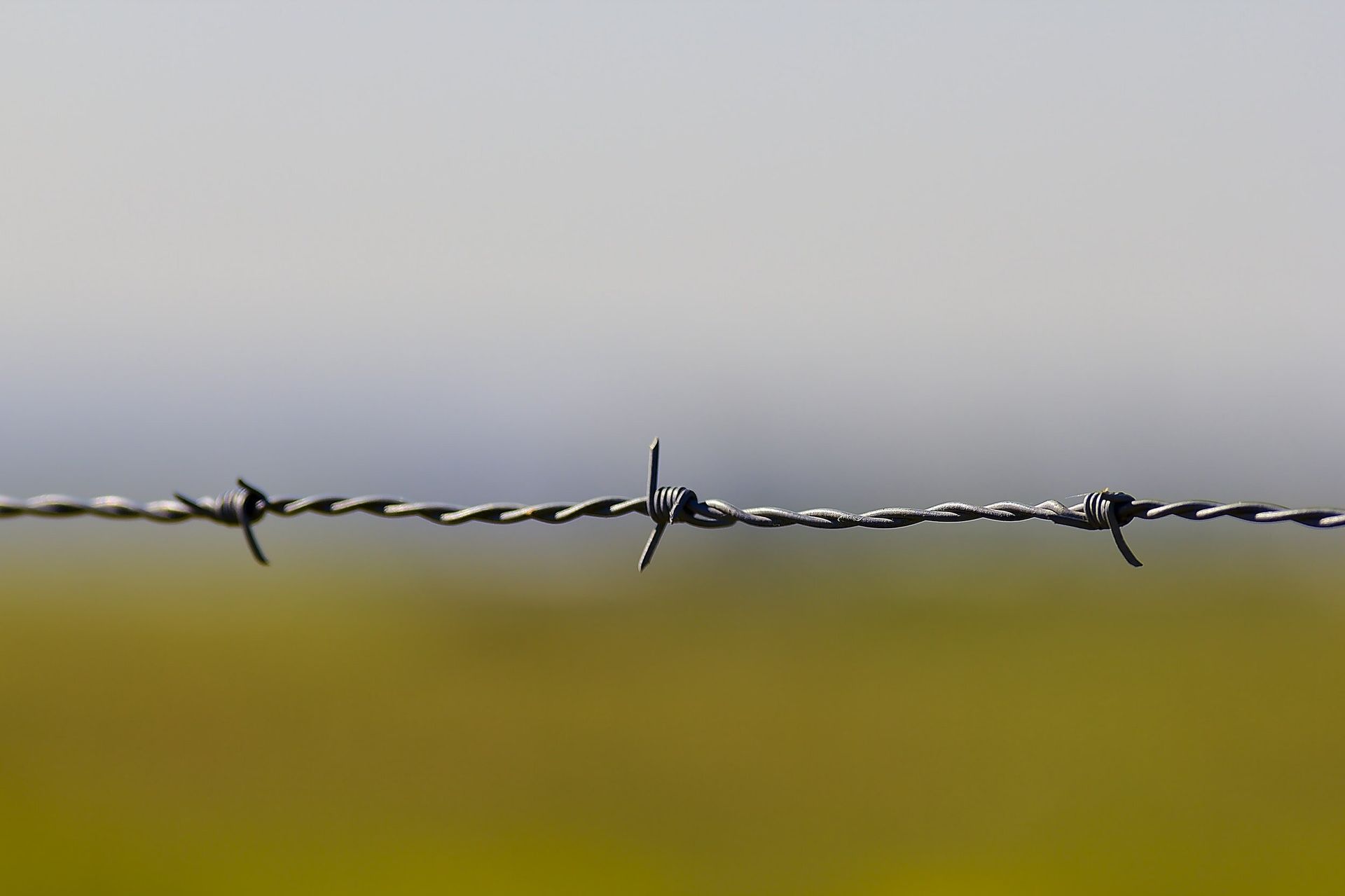 A close up of a barbed wire fence in a field.