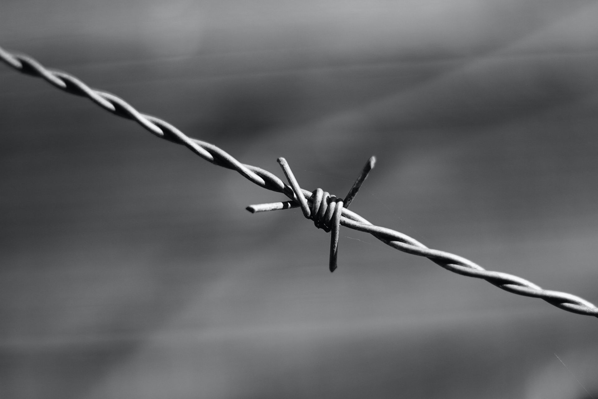 A black and white photo of a barbed wire fence