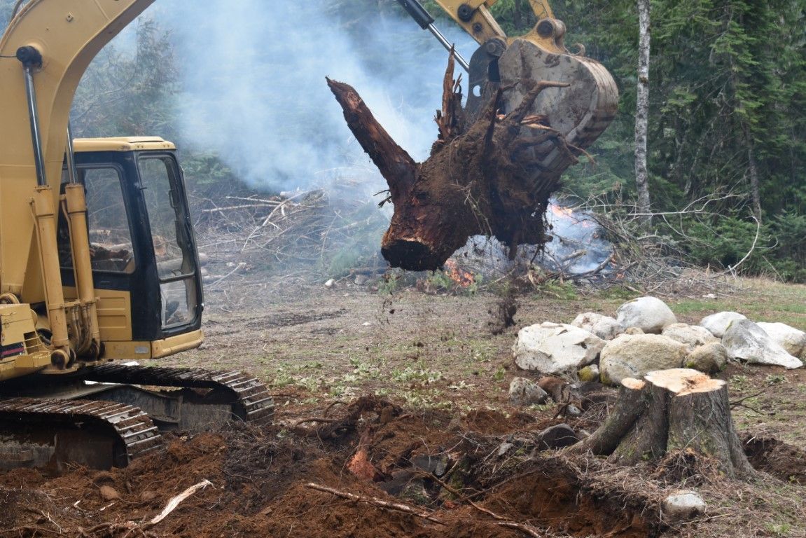 An image of Stump Grinding Services in Avon, CT
