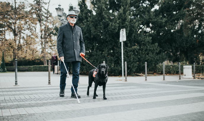 A older blind gentleman with grey hair, beard and moustache, out walking with his black Labrador dog crossing a pathway, wearing dark clothing, long jacket, grey trilby hat & black glasses. 