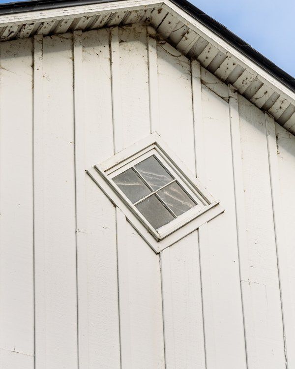 Roof Cobwebs Roof Cobwebs