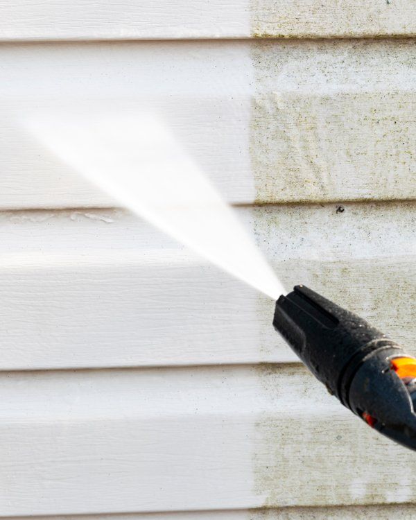 Professional Exterior Cleaning Professional Exterior Cleaning