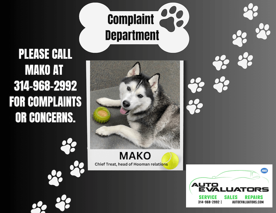 Complaint Department - Auto Evaluators