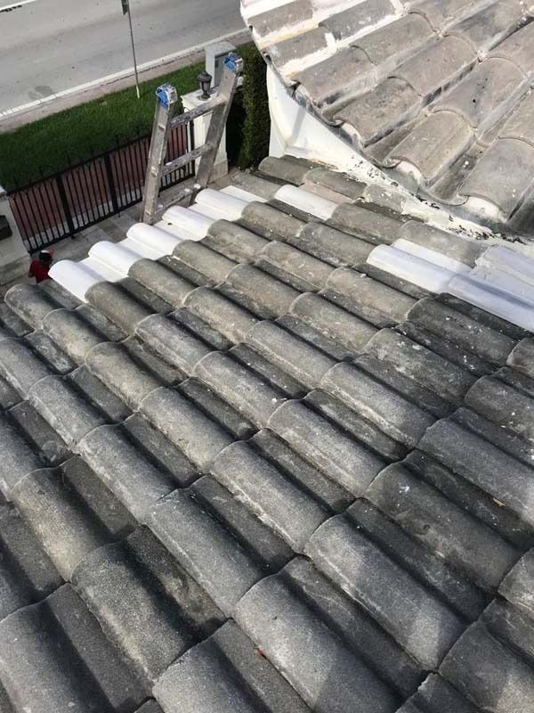 A gray tiled roof showing a patch of fresh white primer being applied, viewed from above with a ladder visible.