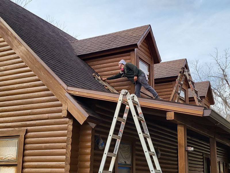 log cabin maintenance schedule