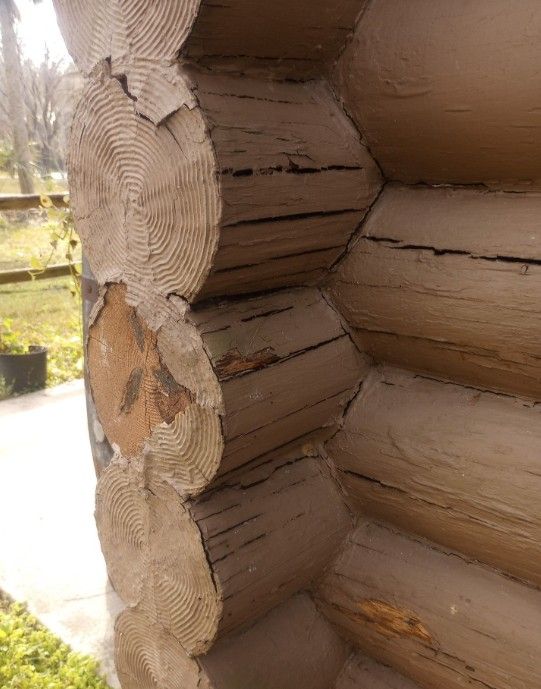Log Rot Repair