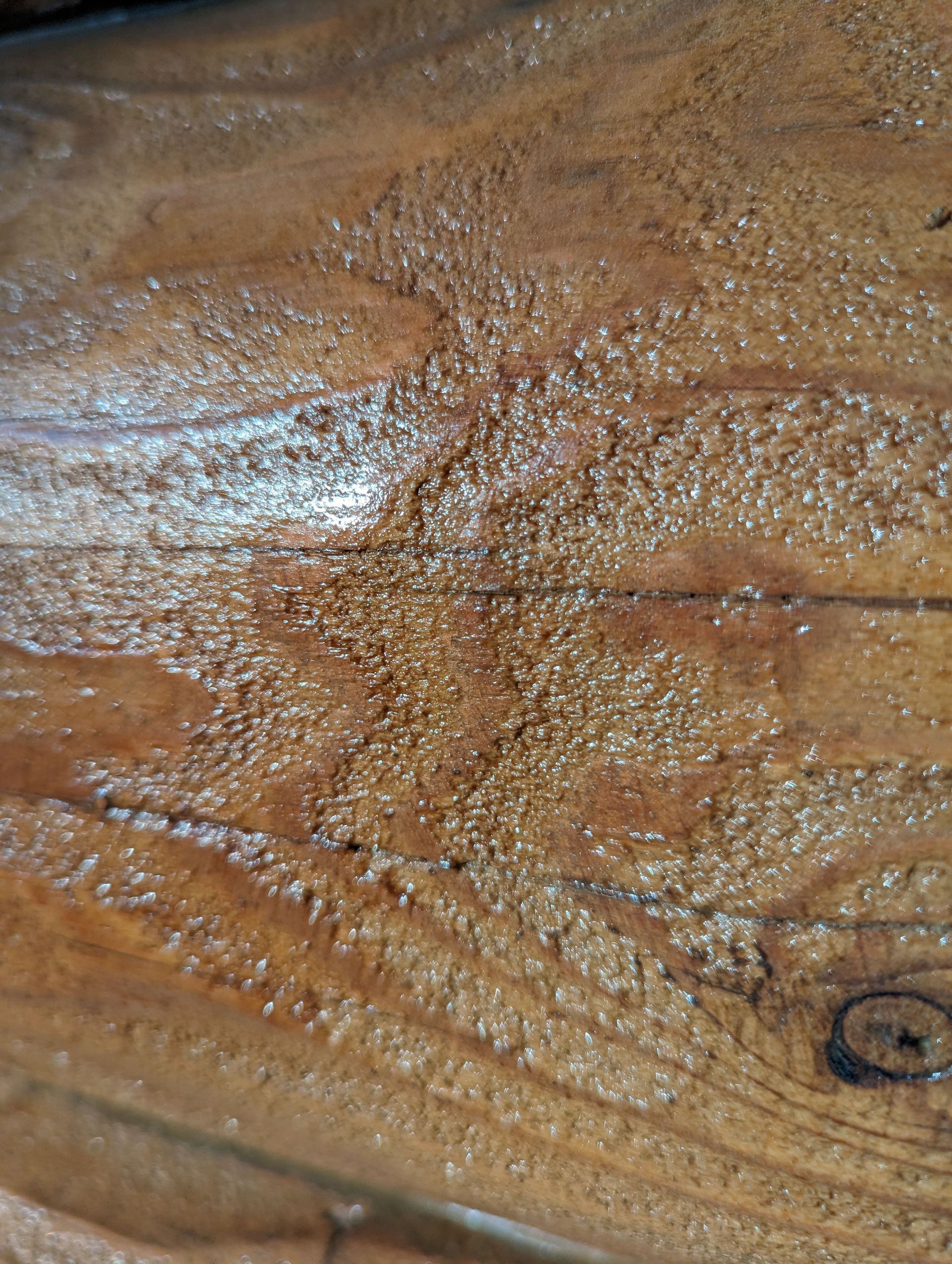 A close up of a piece of wood with a lot of small holes in it.