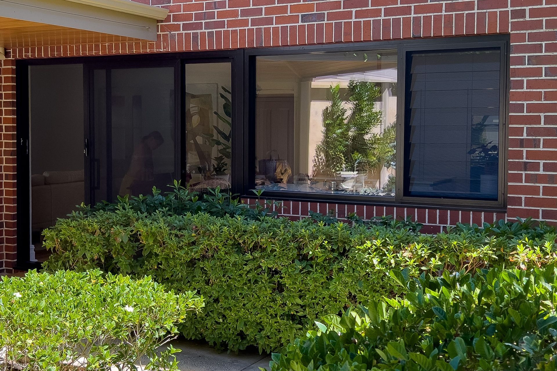 Brick building with a dark-framed window. Green bushes in front of the window, with a view of trees inside.