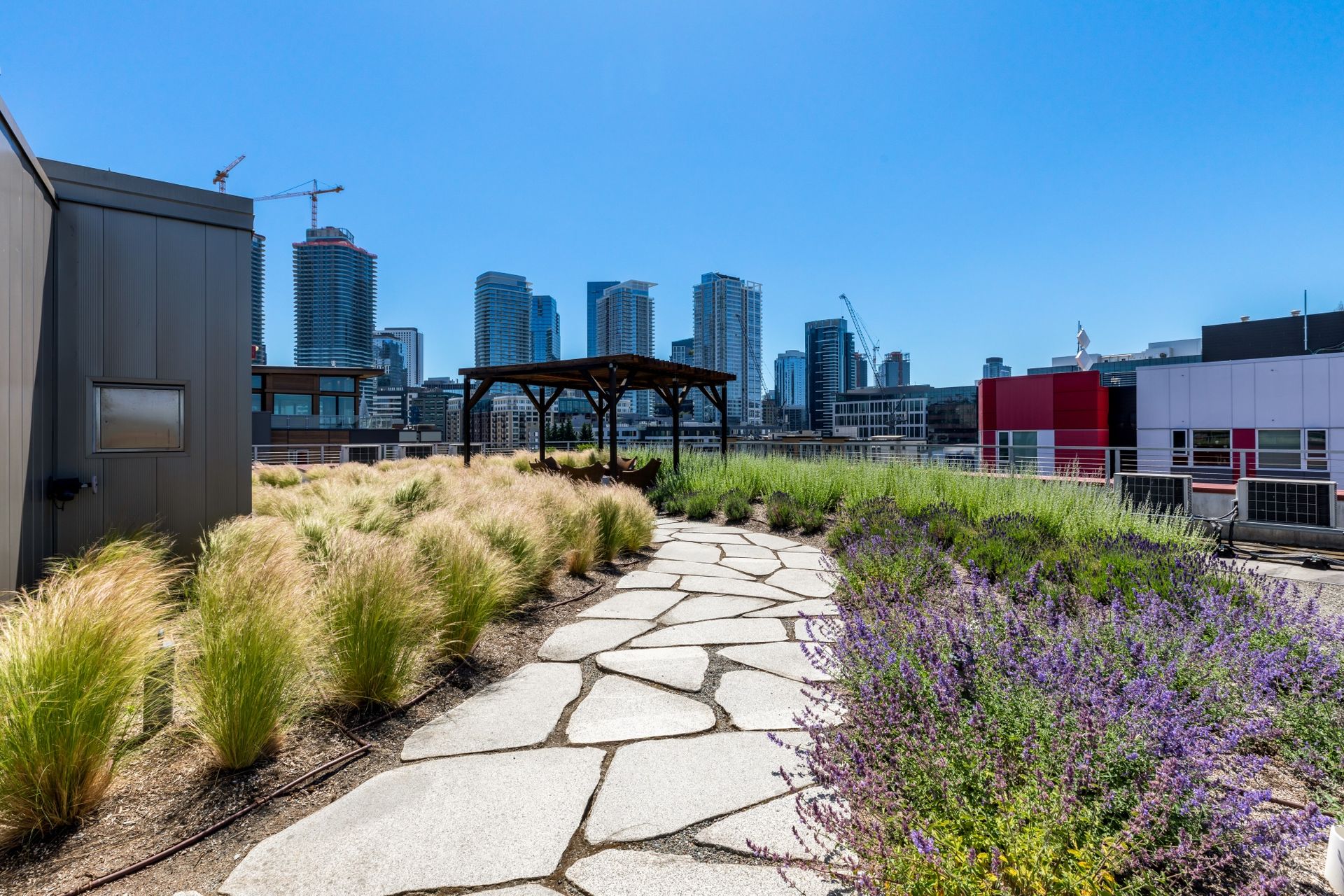 A rooftop garden with a city skyline in the background.