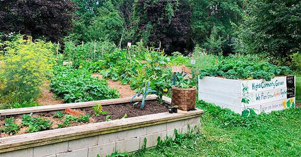 picture of the high street garden