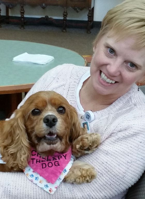 Stark County Ohio therapy dog training for over 17 years.