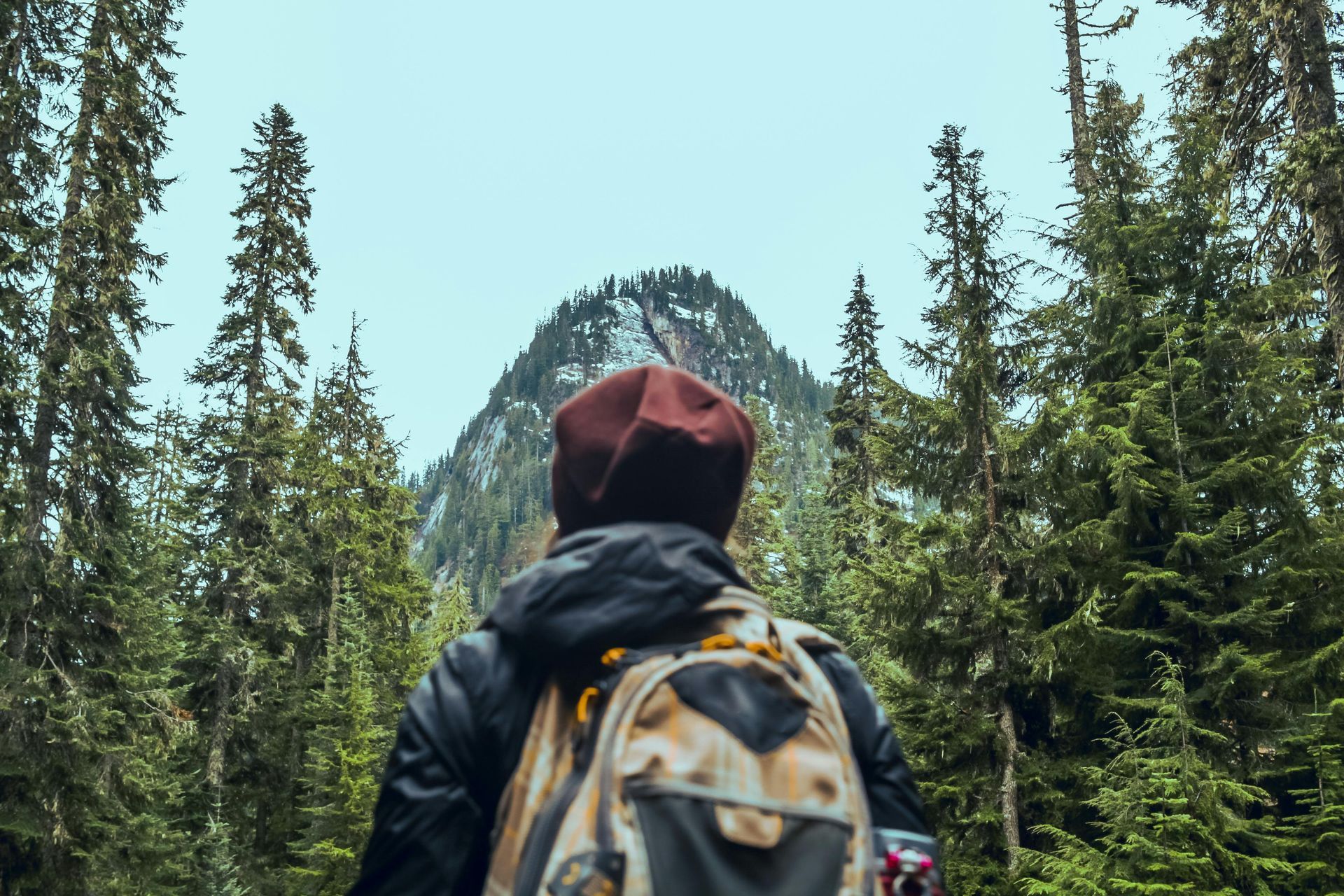 A person with a backpack is walking through a forest towards a mountain.