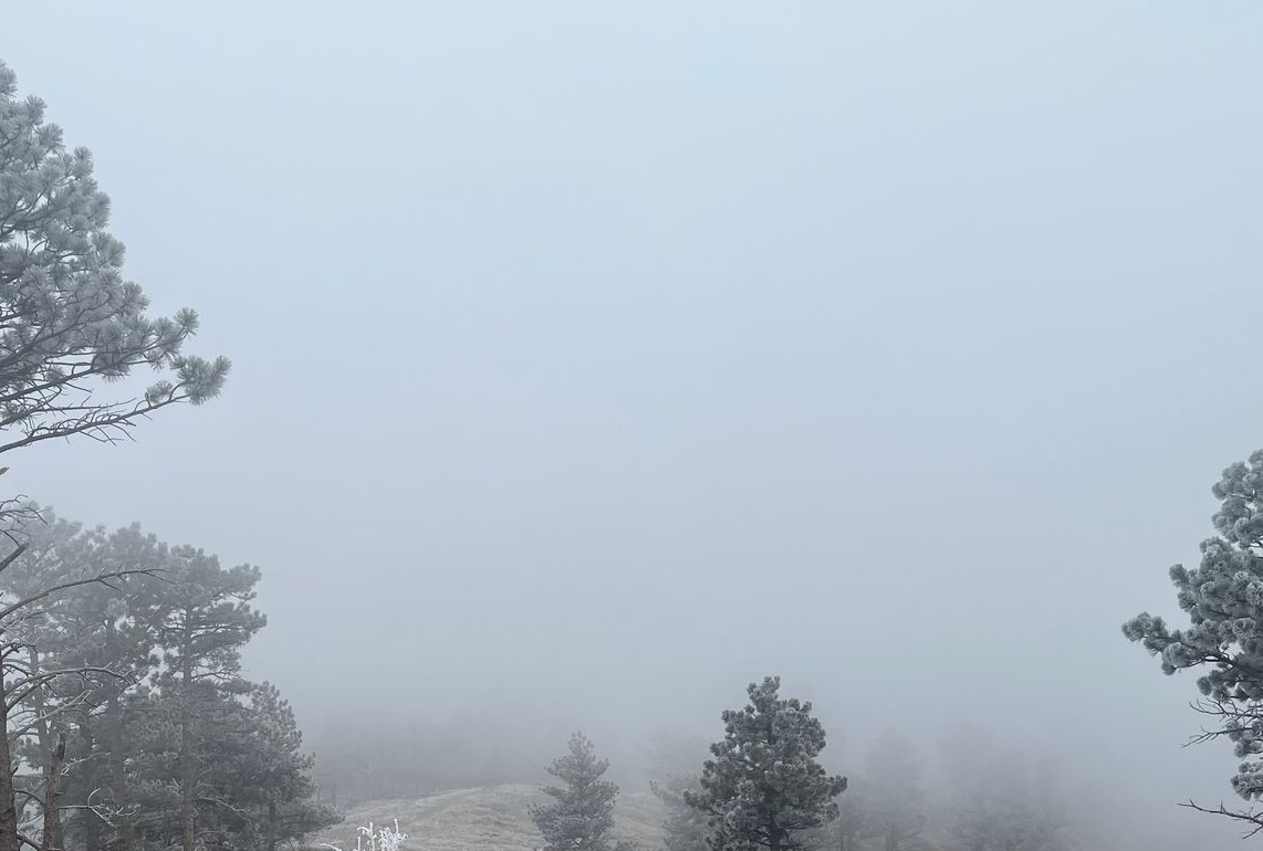 Boulder, Colorado, winter mountain scene; trees covered in frost, shrouded in thick fog