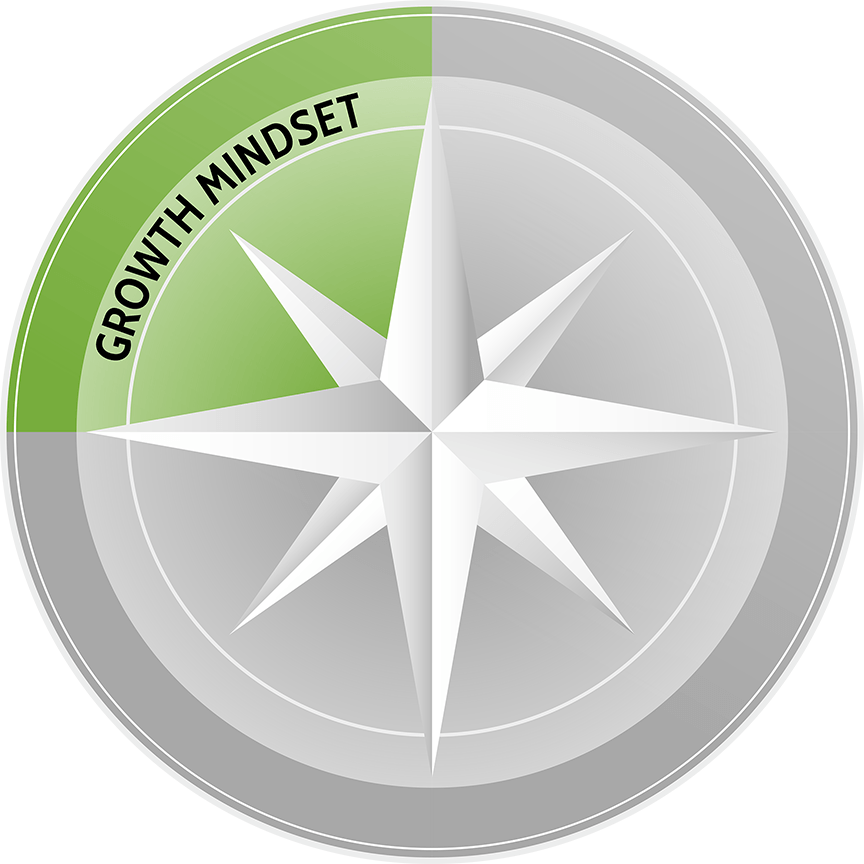 leadership development program for individual leaders