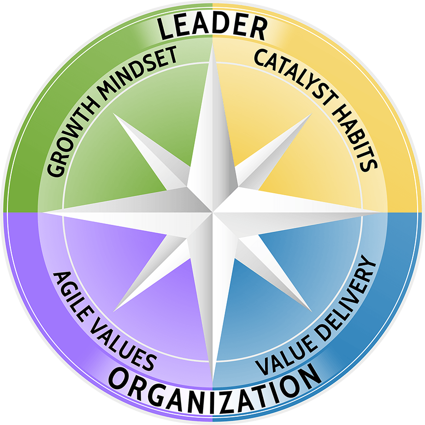 A compass with the words leader catalyst habits growth mindset agile values organization value delivery