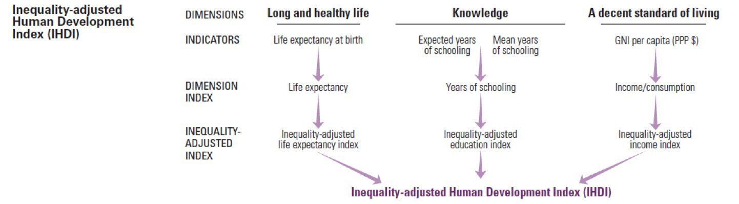 A diagram showing the stages of a person 's life