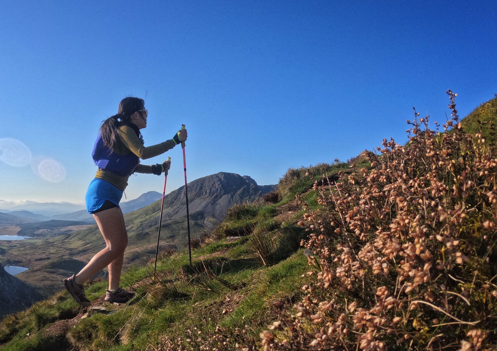 Runner with poles passing  a heather bush
