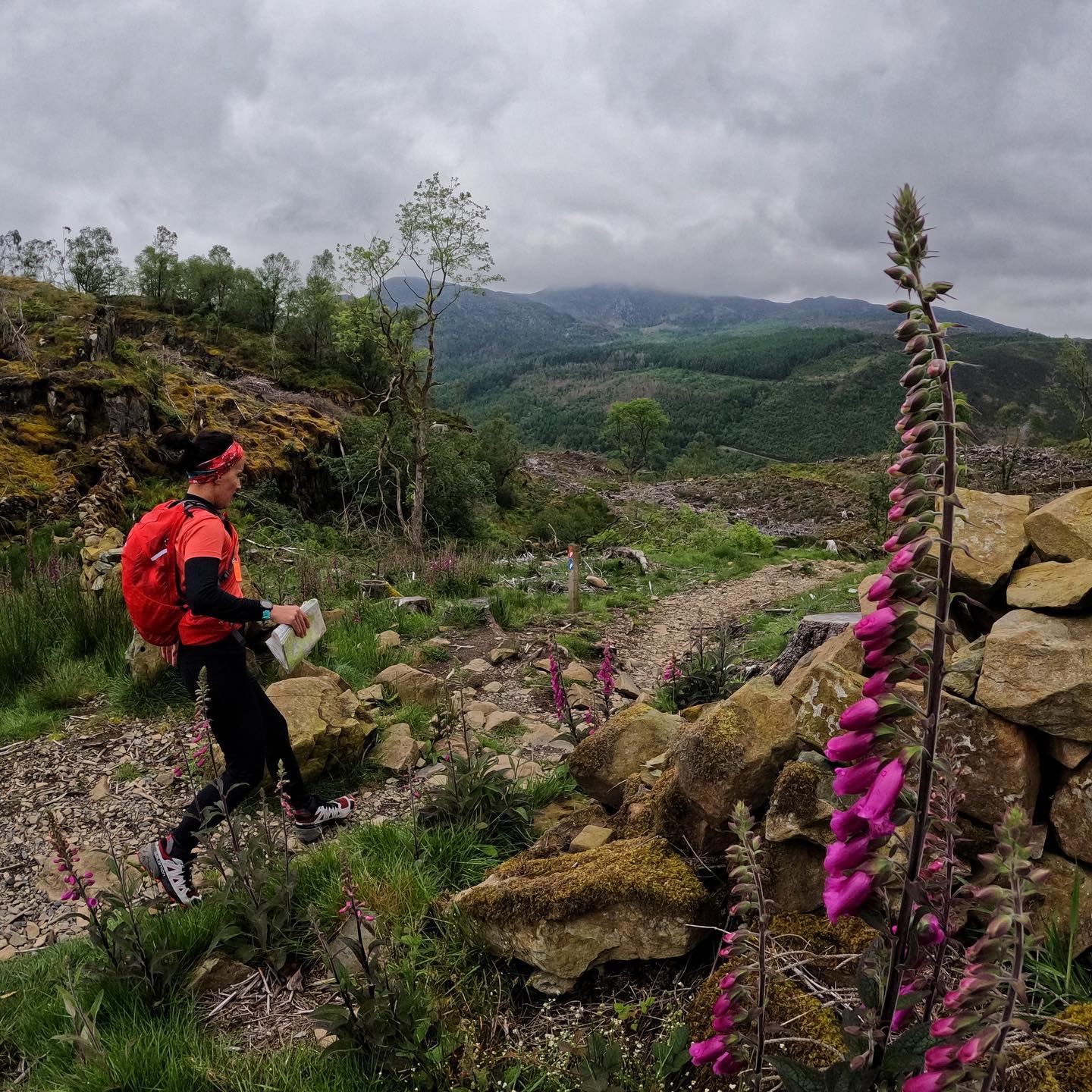 Runner in the mountains running past a flower