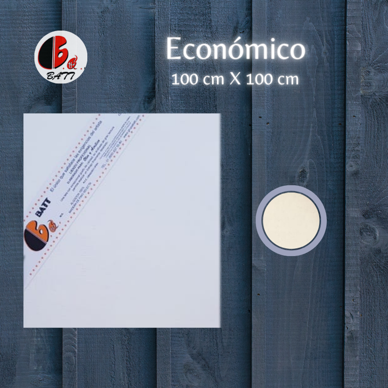Económico 100 X 100