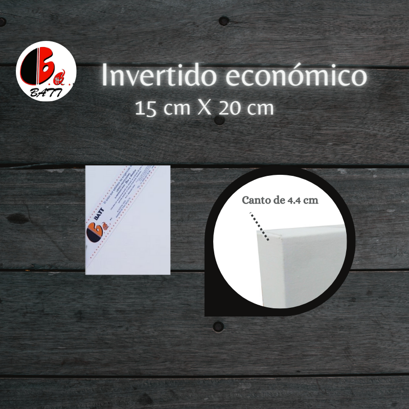 Invertido económico 15X20