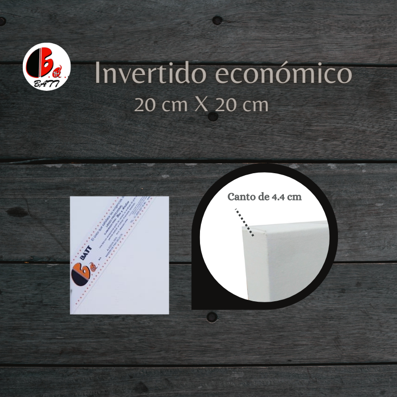 Invertido económico 20X20