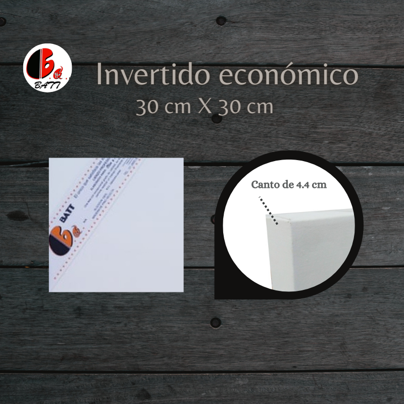 Invertido económico 30X30