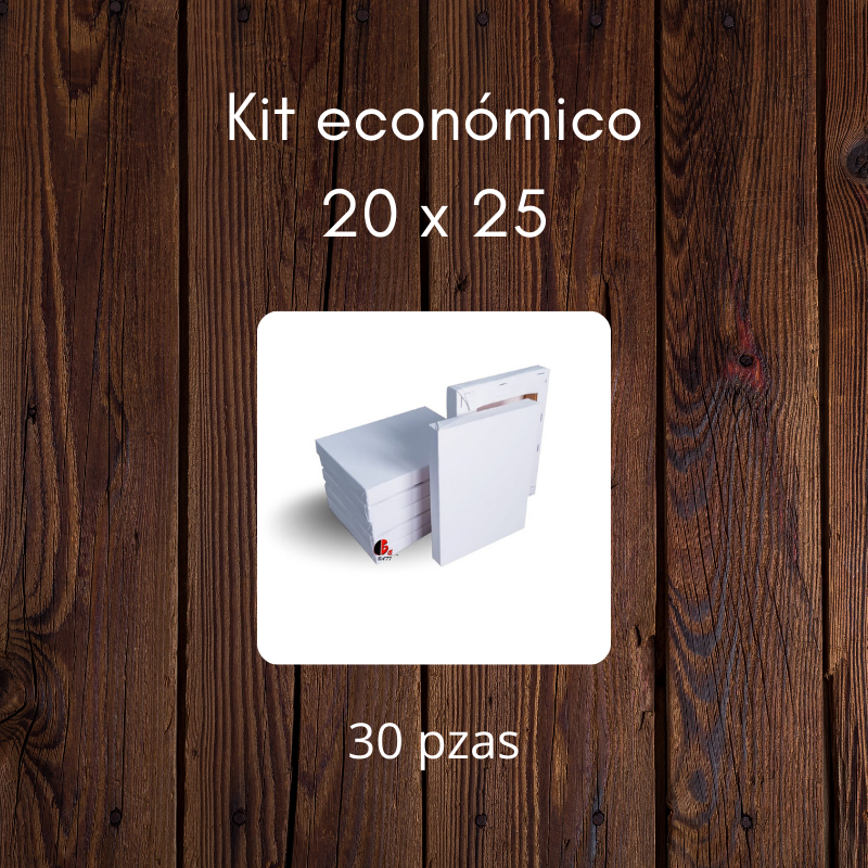 Kit eco 20 X 25 cm 30 pzas