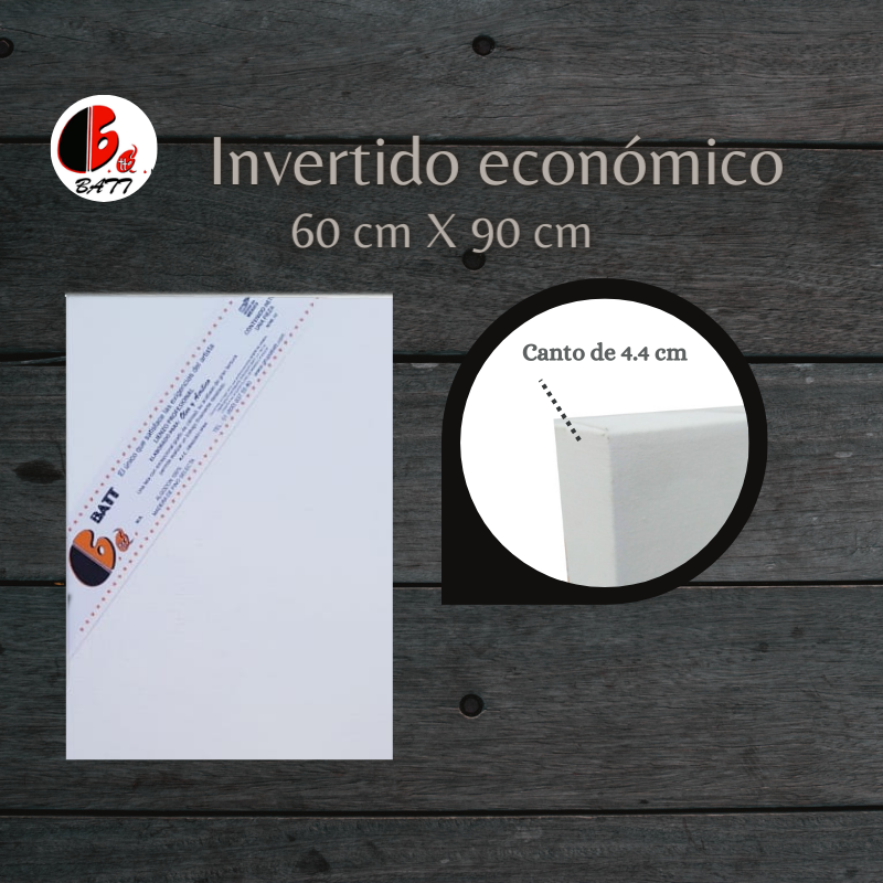 Invertido económico 60X90