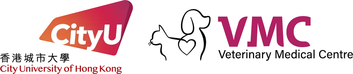 Logo 27