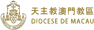 Logo 29