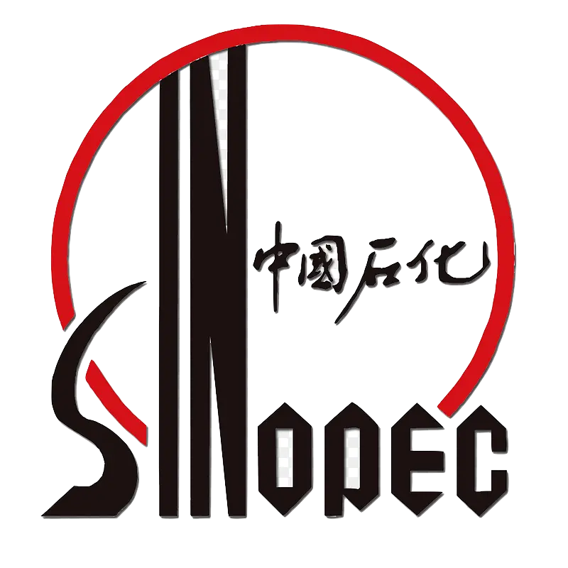 Logo 80