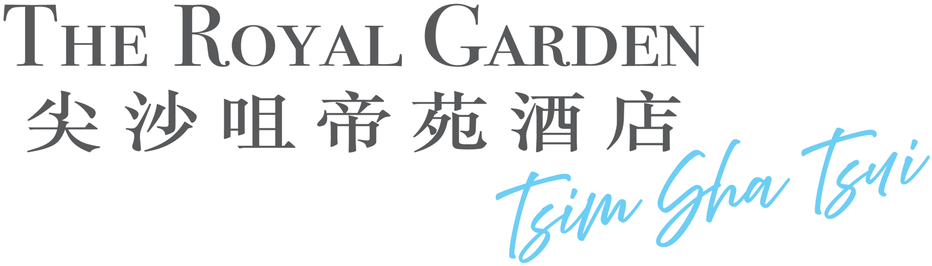 Logo 16