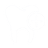 Health Fund Provider