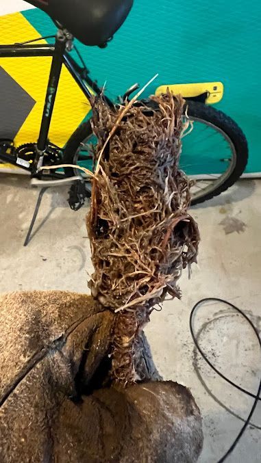 A bicycle is parked next to a sculpture of a horse made of branches.