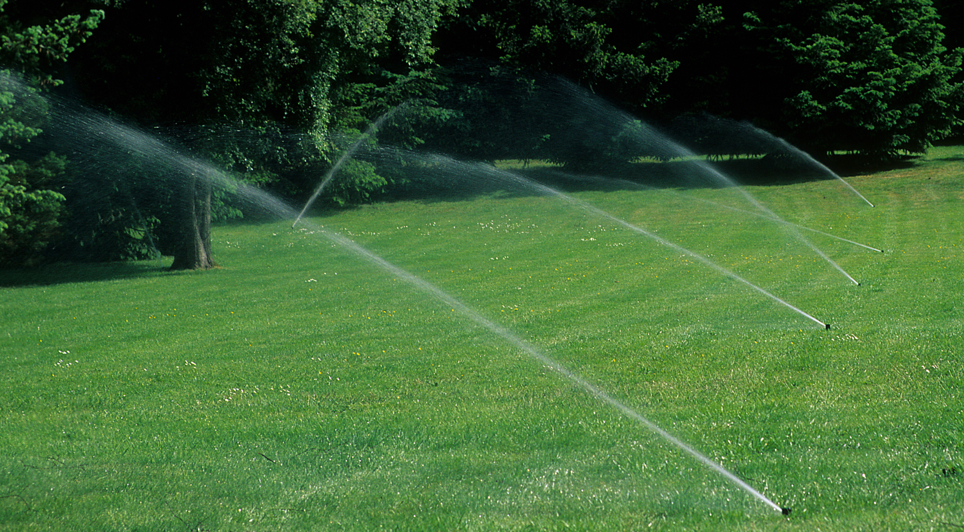 Landscaping img