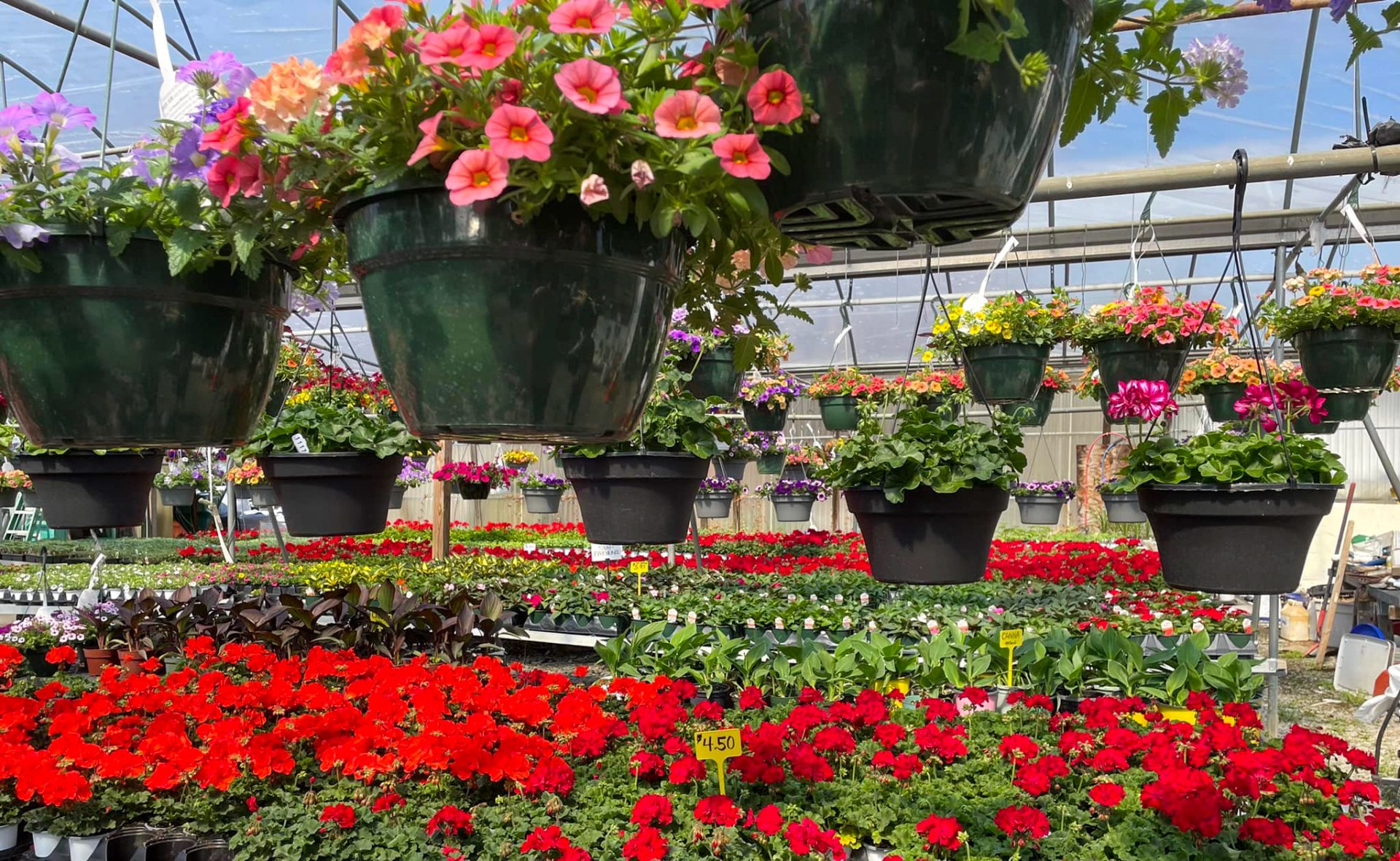 Fairfield Farms & Greenhouses Fairfield, NJ (973) 2271011
