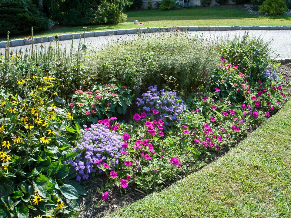 Fairfield Farms & Greenhouses Fairfield, NJ (973) 2271011