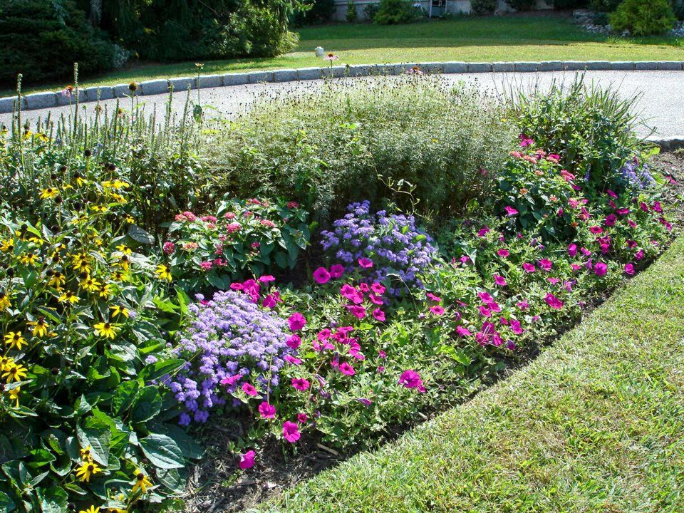 potted flowers