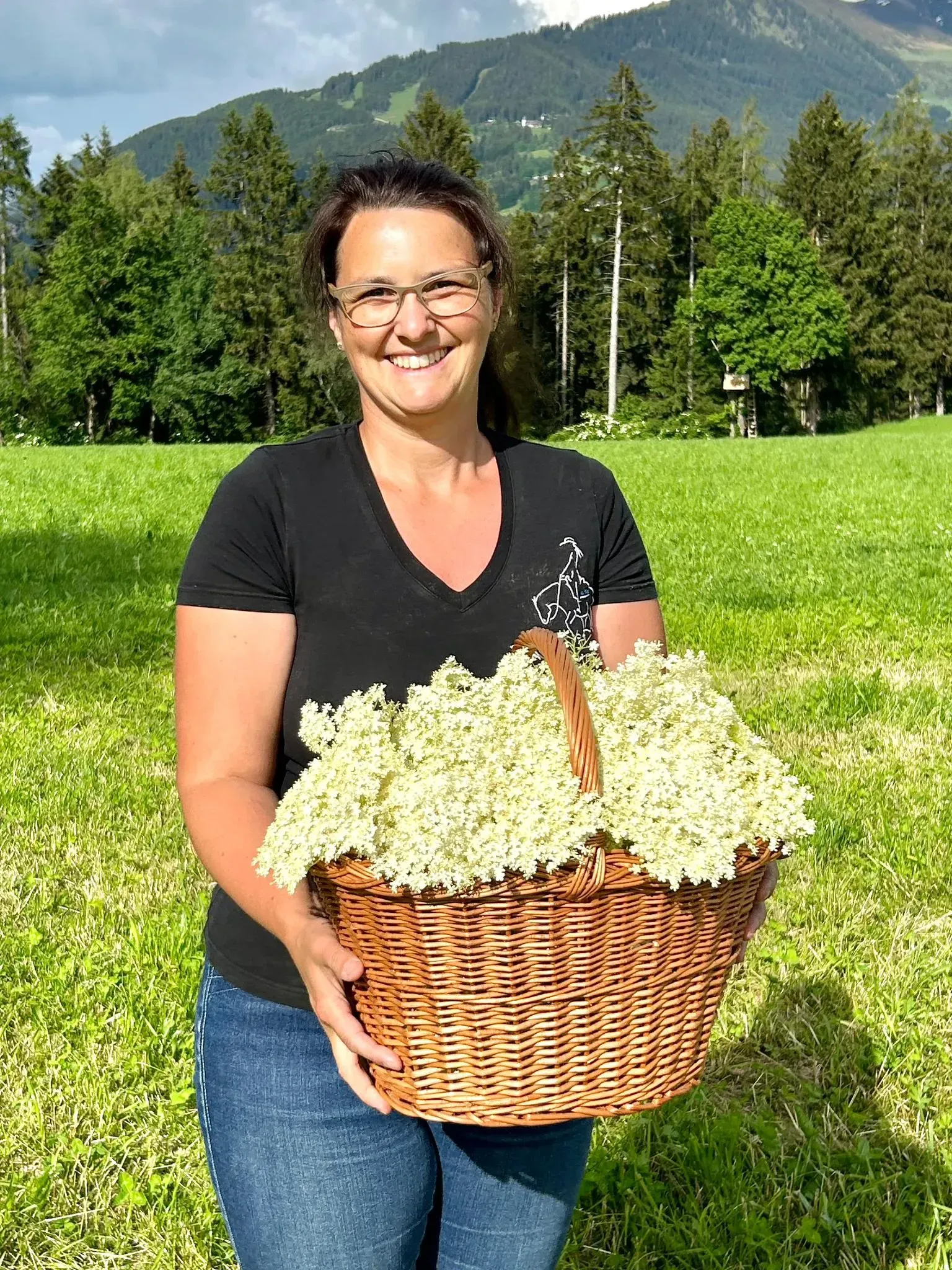 Die KräuterSchnecke - Holunderblüten ernte