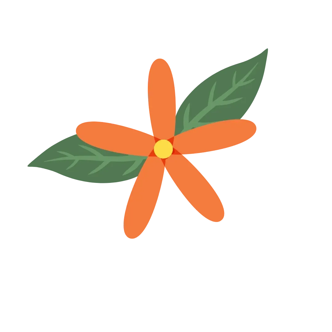 Blume KräuterSchnecke