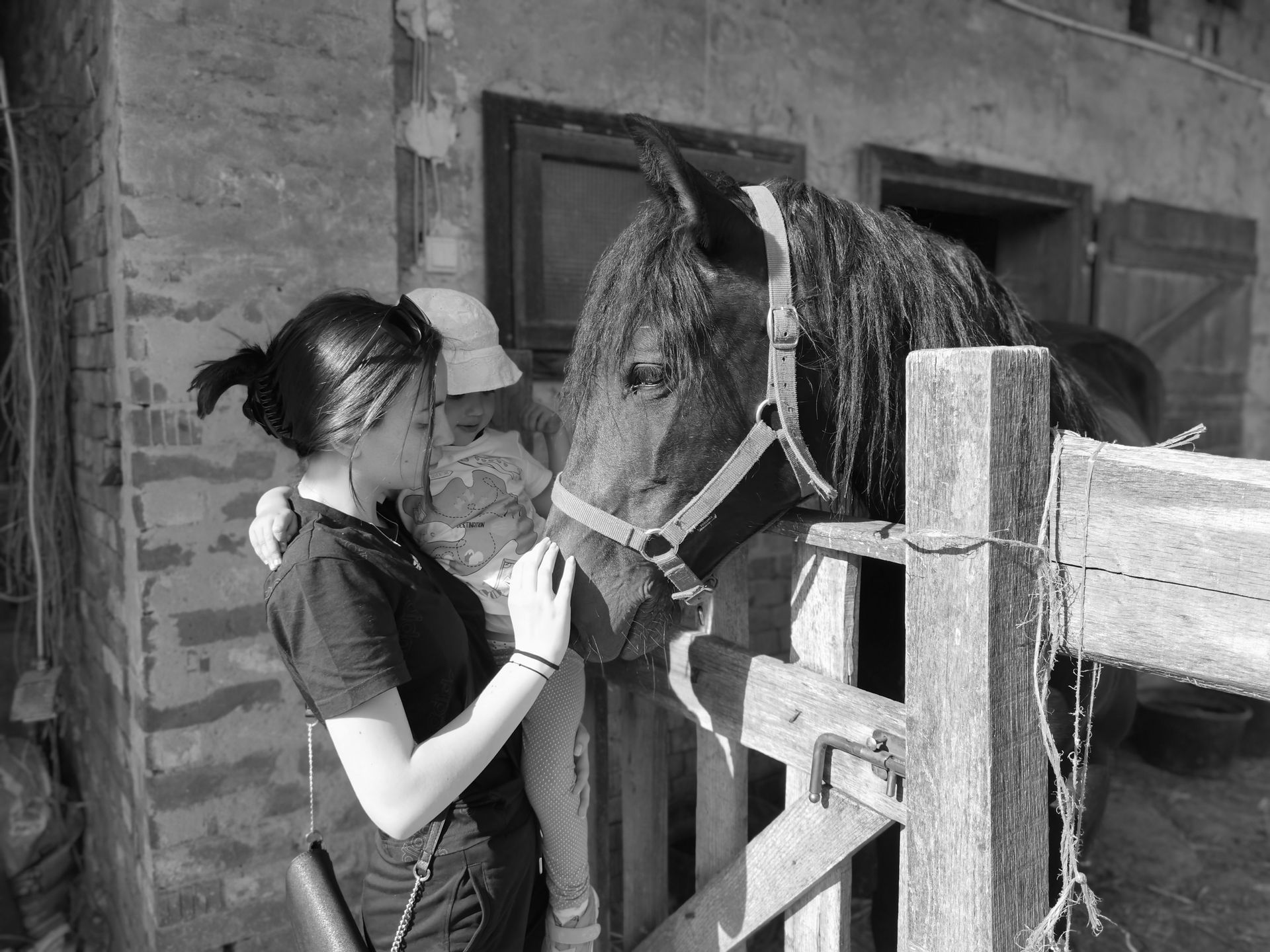 Hooggevoelig kind aait paard bij paardencoaching bij Natuurlijk Samen Kindercoaching in Zoetermeer