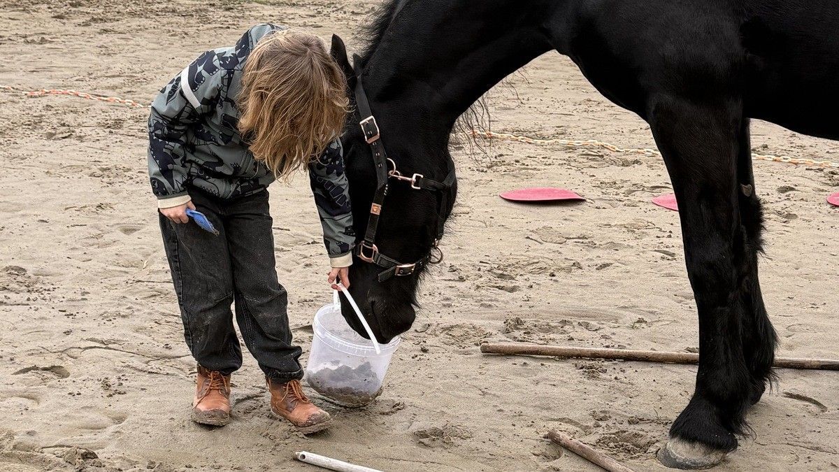 Kind voert paard bij paardencoaching van Natuurlijk Samen Kindercoaching