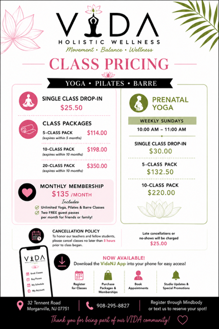 Vida Holistic Wellness class pricing flyer with yoga, Pilates, barre, and prenatal yoga options.
