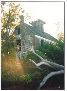 A weathered, abandoned stone house sits in an overgrown, wooded area with a large, bare tree branch in the foreground.