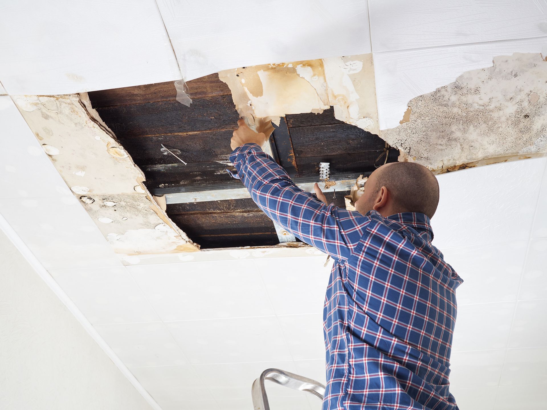 Man repairing a damaged ceiling, removing a dark, water-stained section. Man repairing a damaged ceiling, removing a dark, water-stained section.
